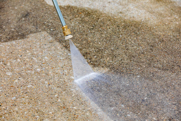Trusted Trinity, FL Pressure Washing Services Experts