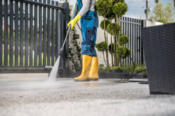 Best Spring Cleaning  in Trinity, FL